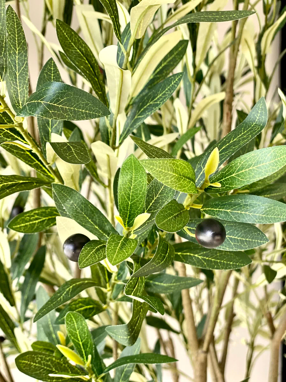 Artificial Mediterria Olive Statement Plant - 7 Feet