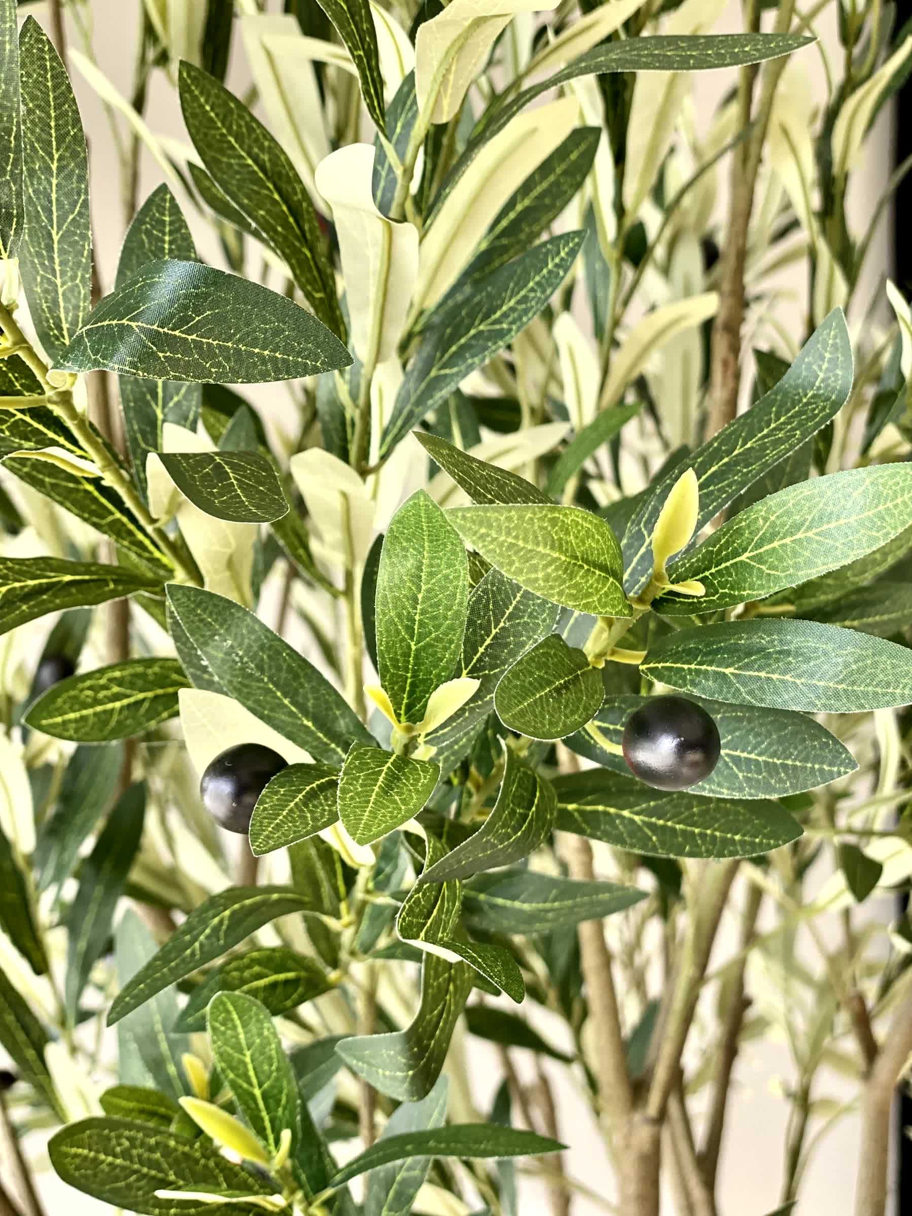 Artificial Mediterria Olive Statement Plant - 7 Feet