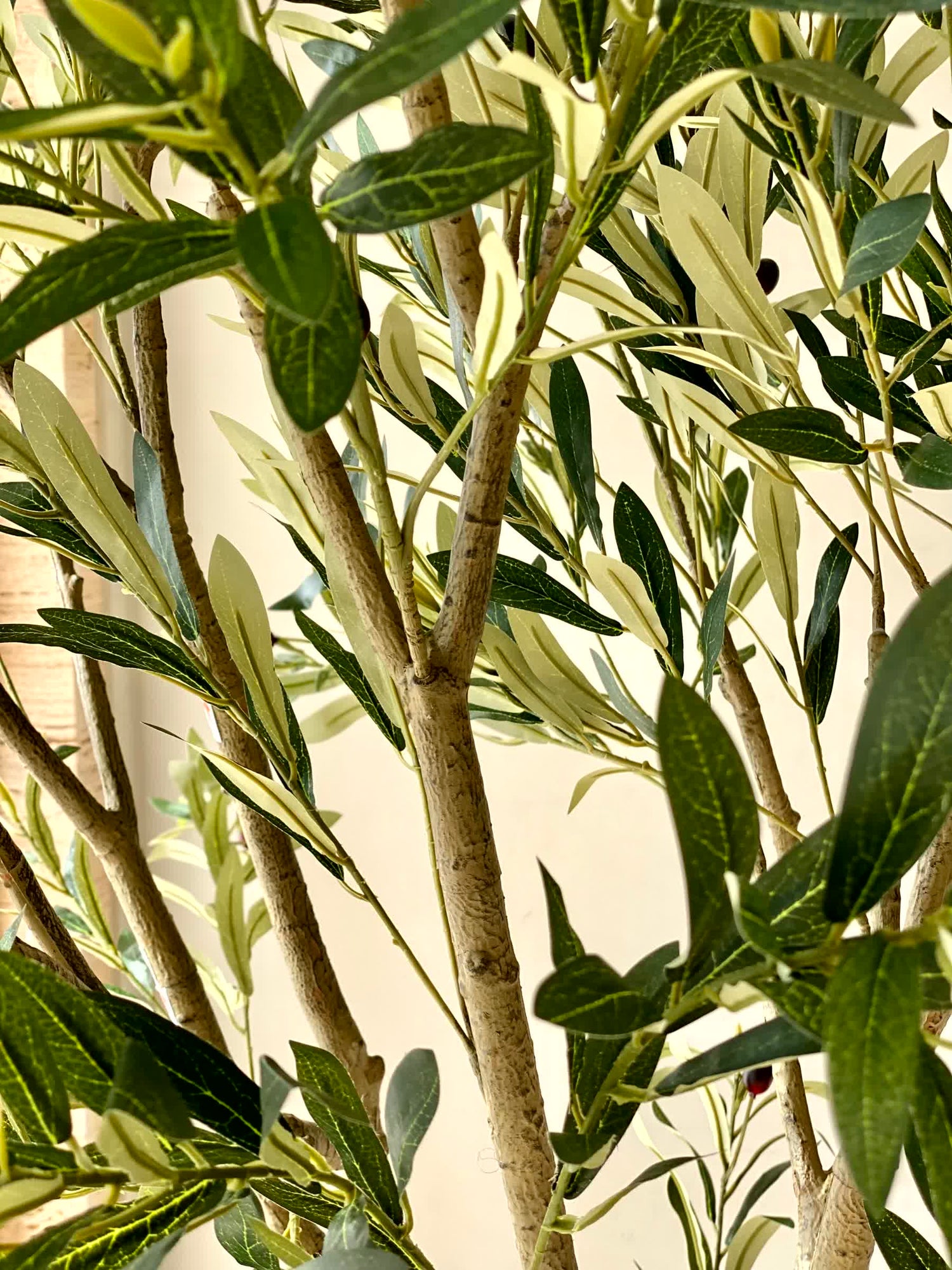 Artificial Mediterria Olive Statement Plant - 7 Feet