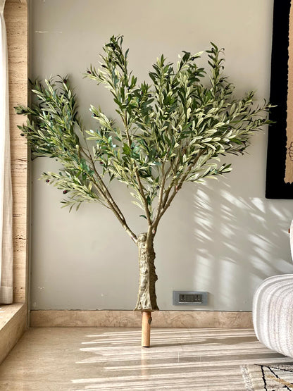Artificial Mediterria Olive Statement Plant - 6 Feet