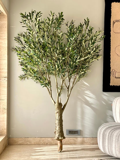 Artificial Mediterria Olive Statement Plant - 7 Feet