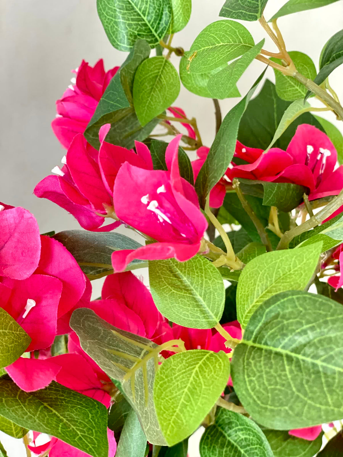 Artificial Bougainvillea Canopy Plant