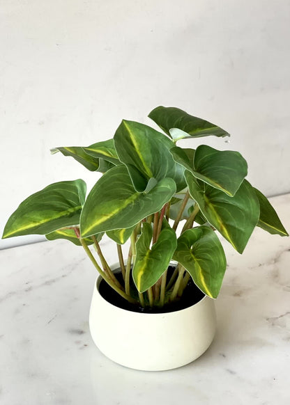 Artificial Green Calathea Foliage Plant