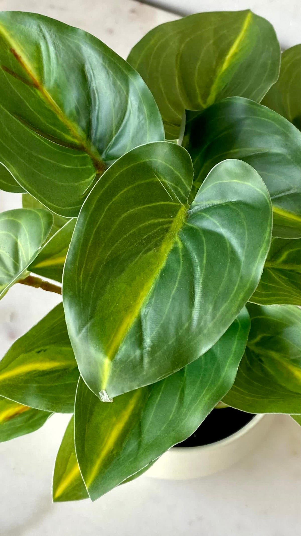 Artificial Green Calathea Foliage Plant