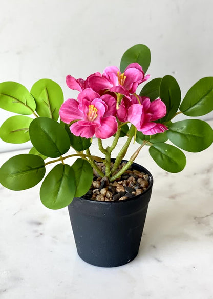 Artificial Camellia Bloom Plant