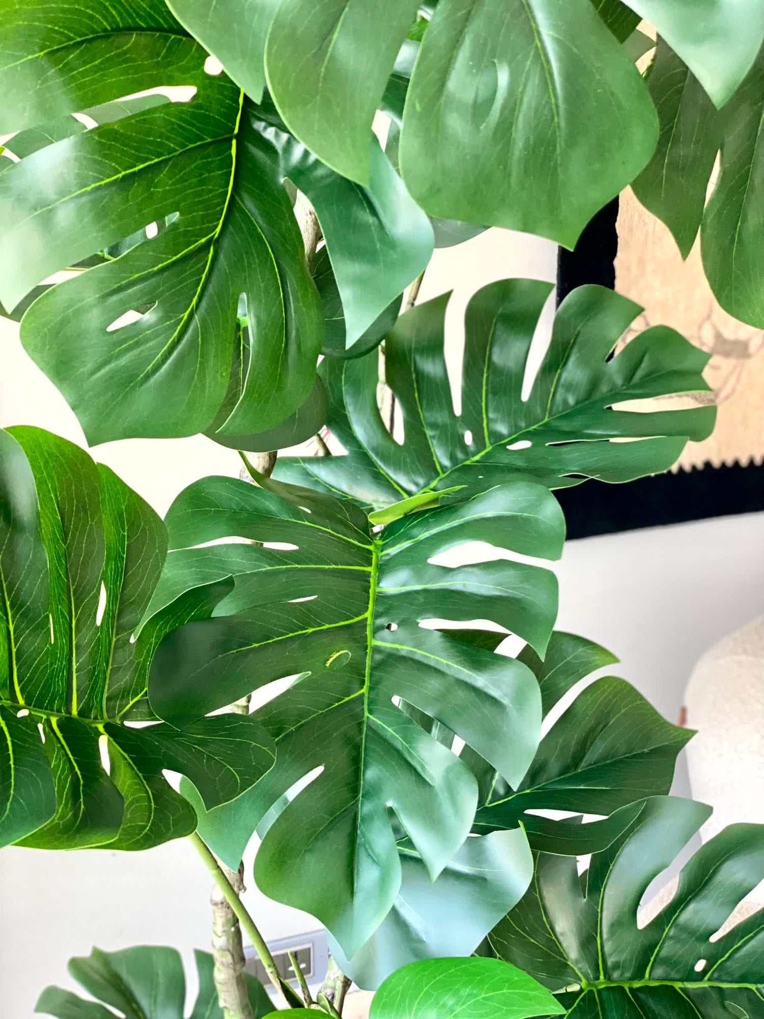 Artificial Arched Monstera Plant - 5 Feet