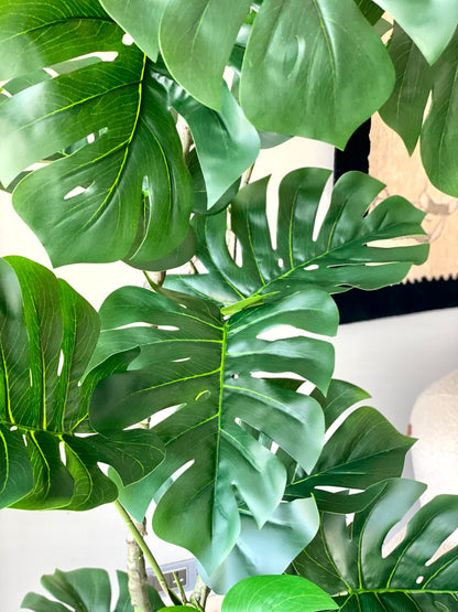 Artificial Arched Monstera Plant - 5 Feet