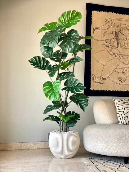 Artificial Arched Monstera Plant - 5 Feet