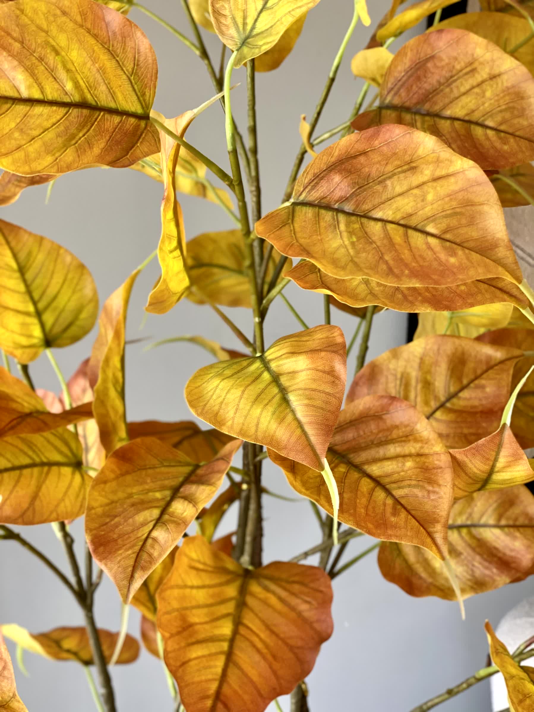 Artificial Amber Peepal Plant - 6 Feet
