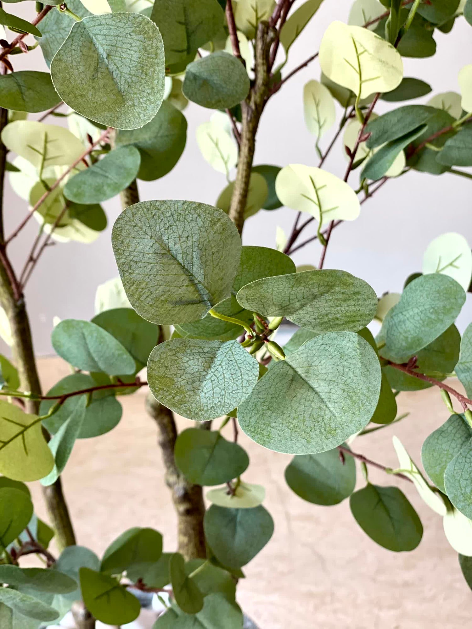 Artificial Eucalyptus Plant - 5 Feet