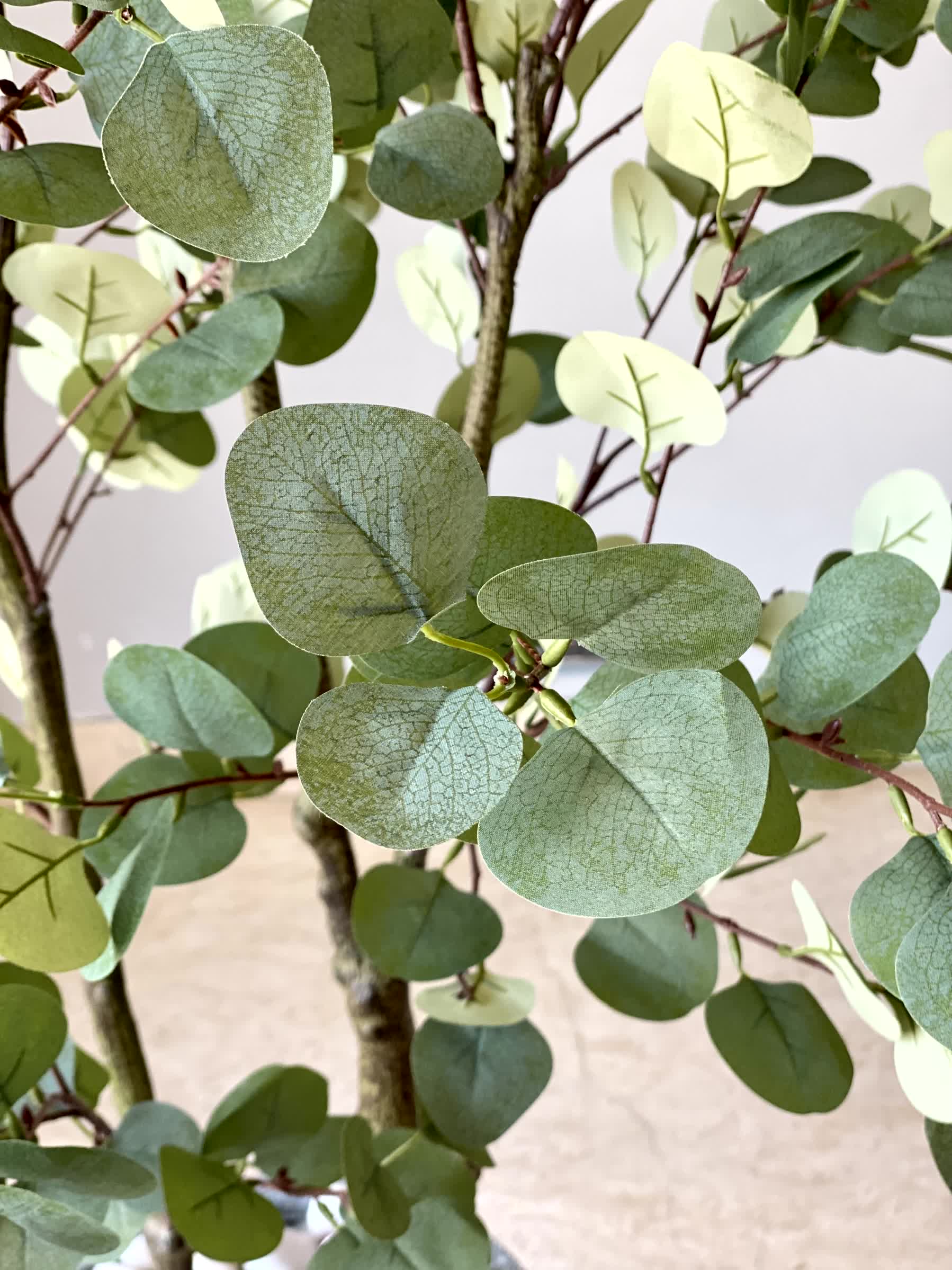 Artificial Eucalyptus Plant - 5 Feet