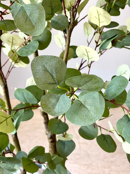 Artificial Eucalyptus Plant - 5 Feet