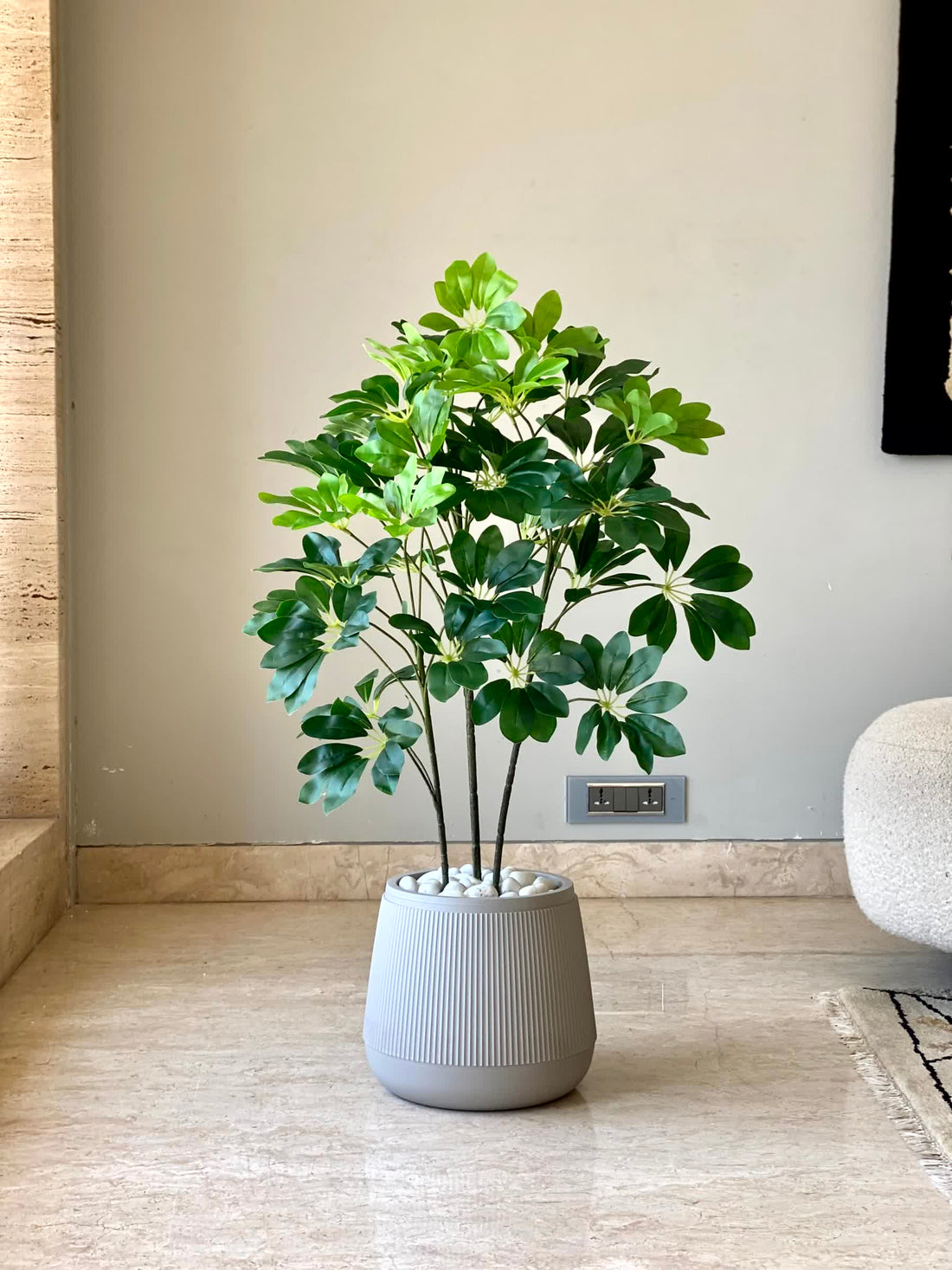 Artificial Schflerra Plant - 3 Feet