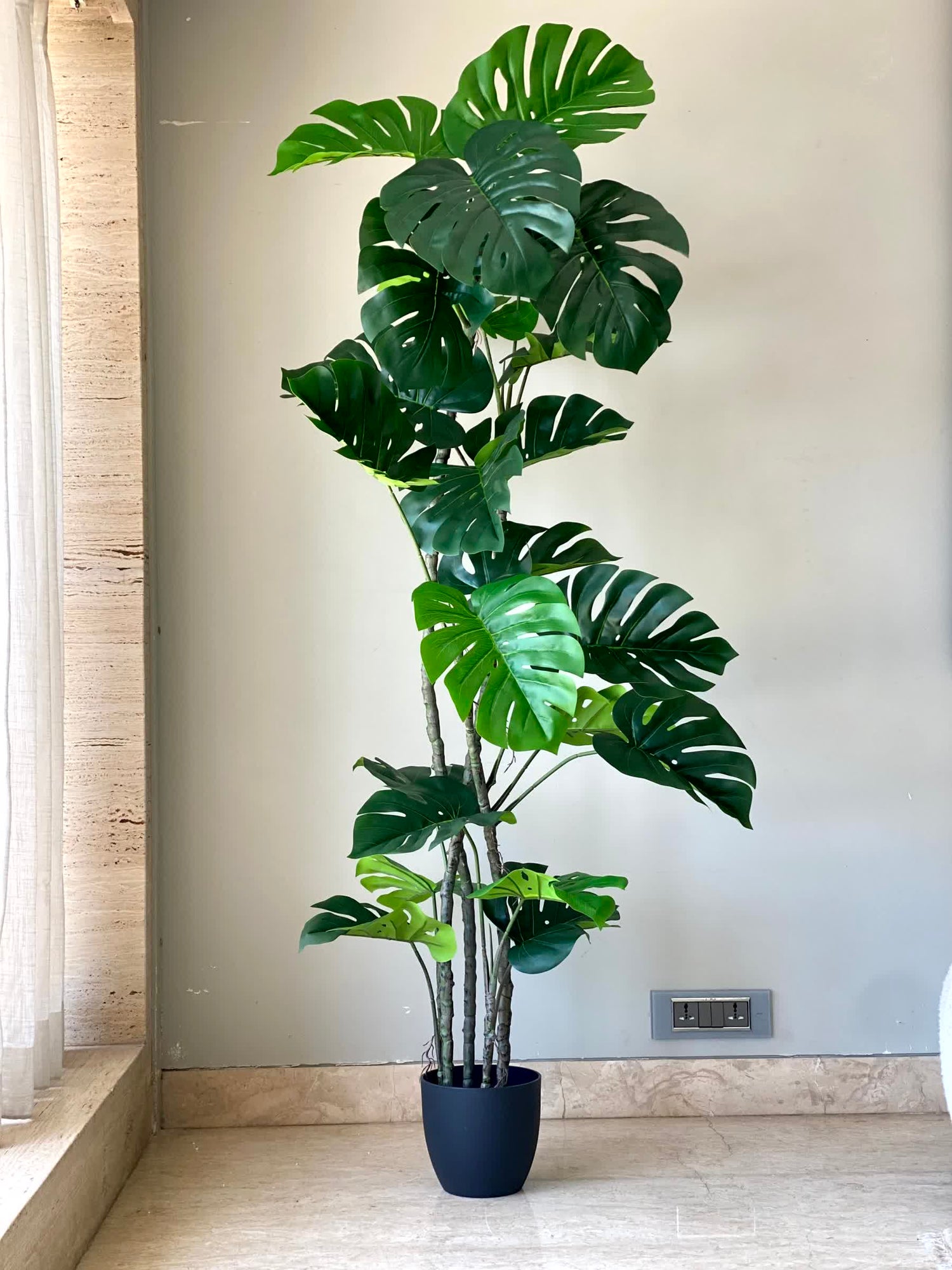 Artificial Arched Monstera Plant - 5 Feet