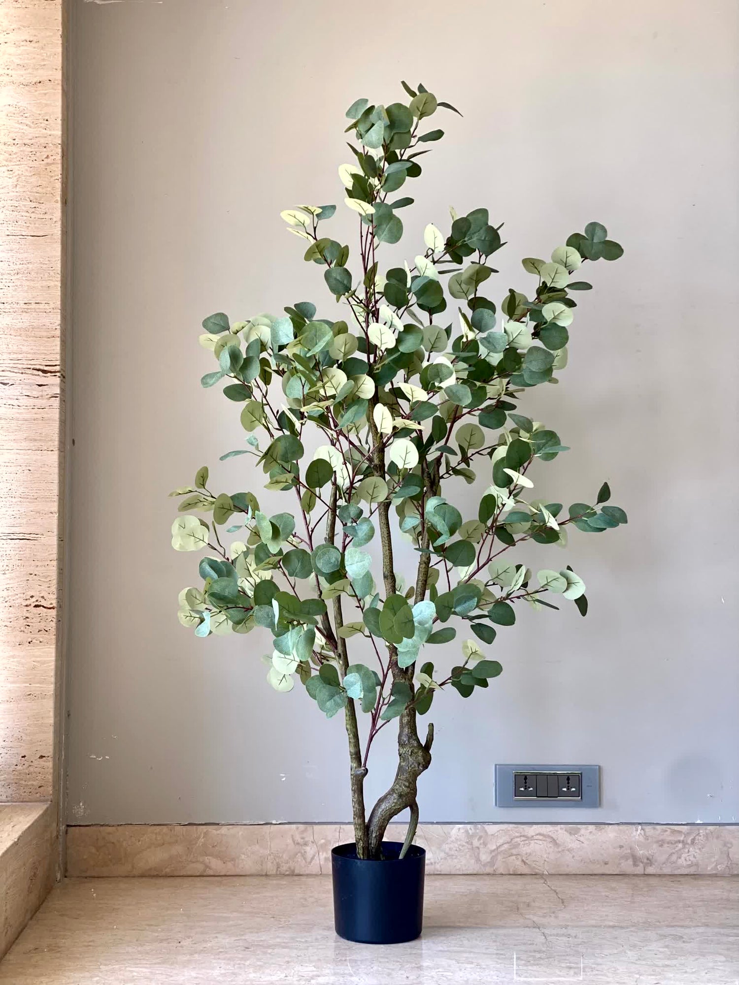 Artificial Eucalyptus Plant - 5 Feet