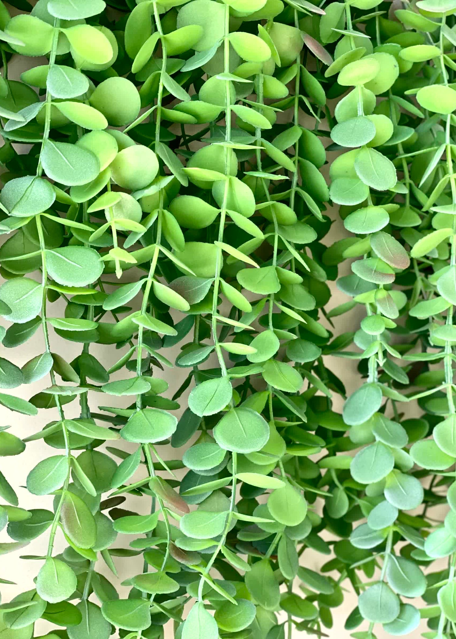 Artificial Eucalyptus Creeper Hanging (Single Piece)
