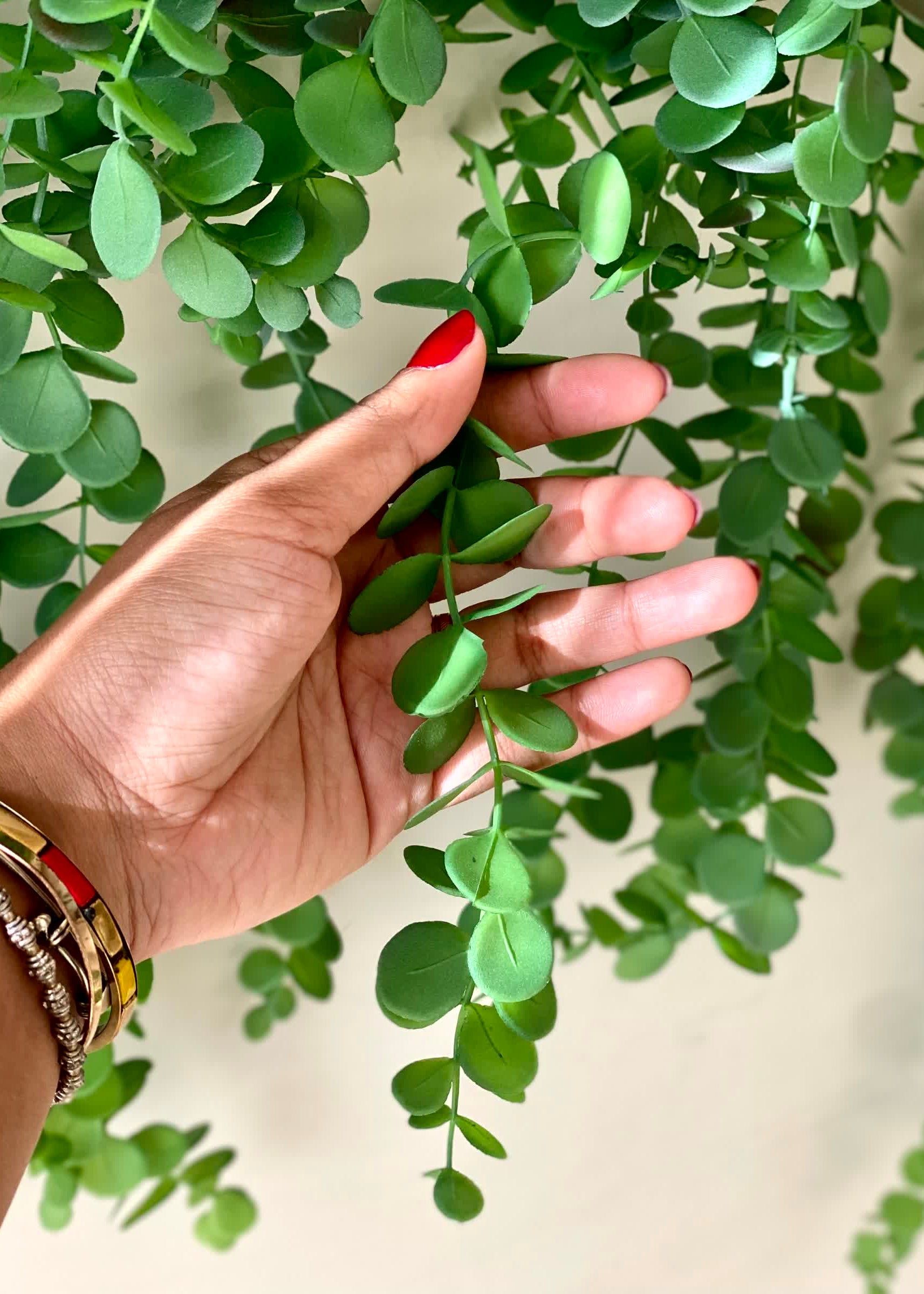 Artificial Eucalyptus Creeper Hanging (Single Piece)
