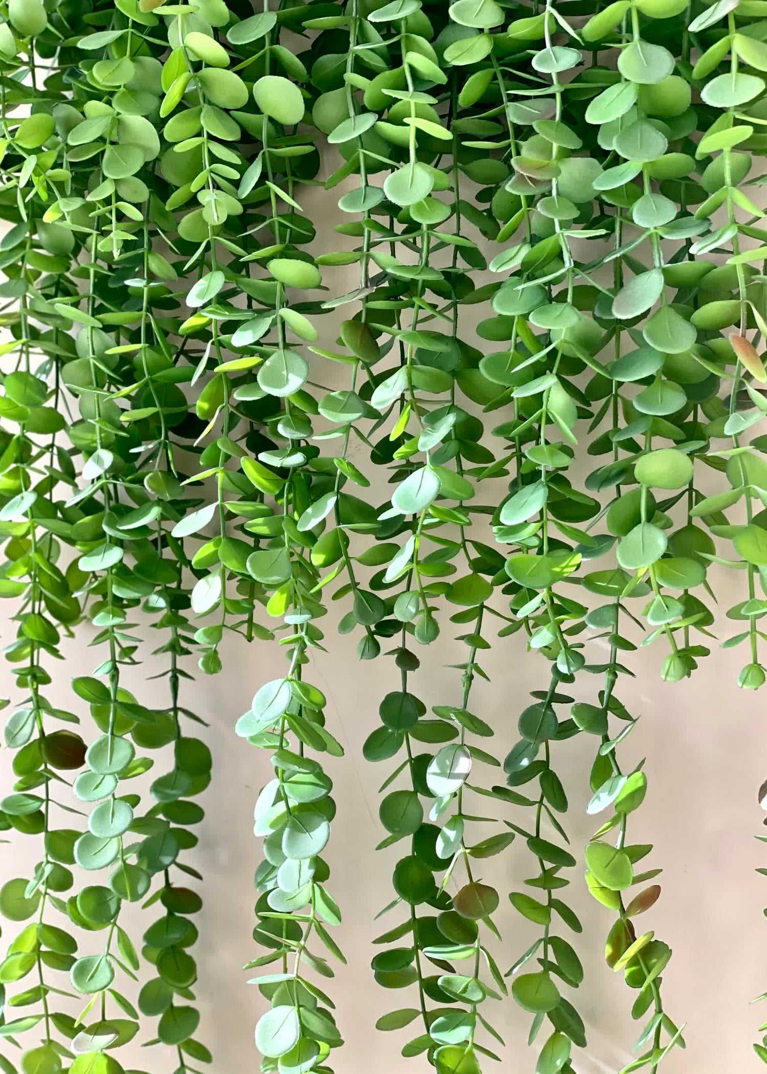Artificial Eucalyptus Creeper Hanging (Single Piece)