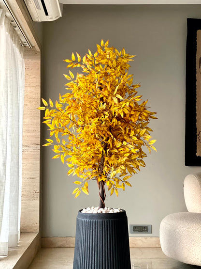 Artificial Sunlit Ficus Plant - 5.5 Feet