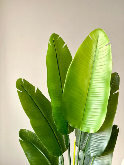 Artificial Banana Canopy Plant - 4 Feet