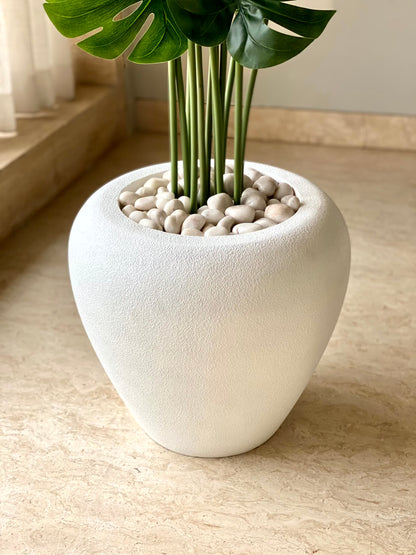 Duch Ivory Planter