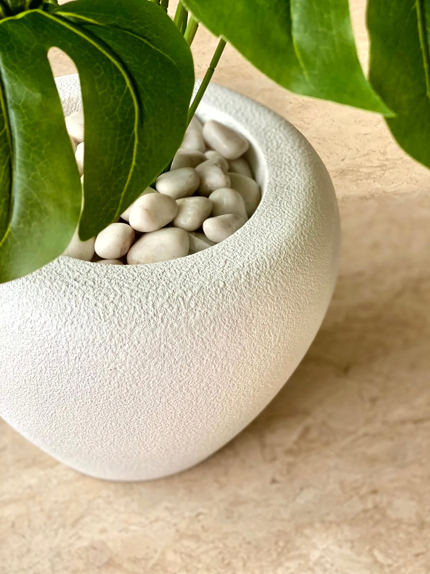 Duch Ivory Planter