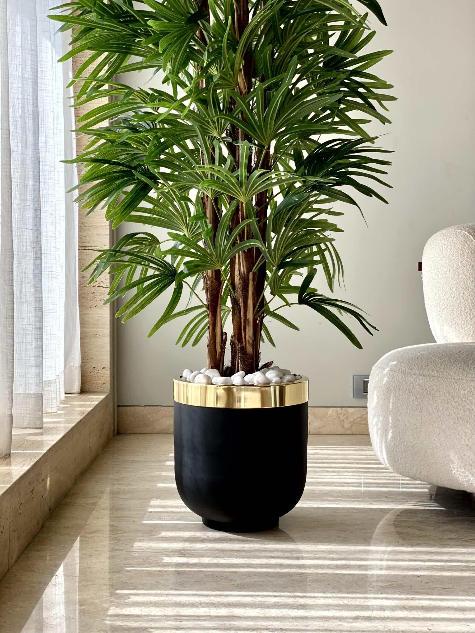 Minsk Planters - Black