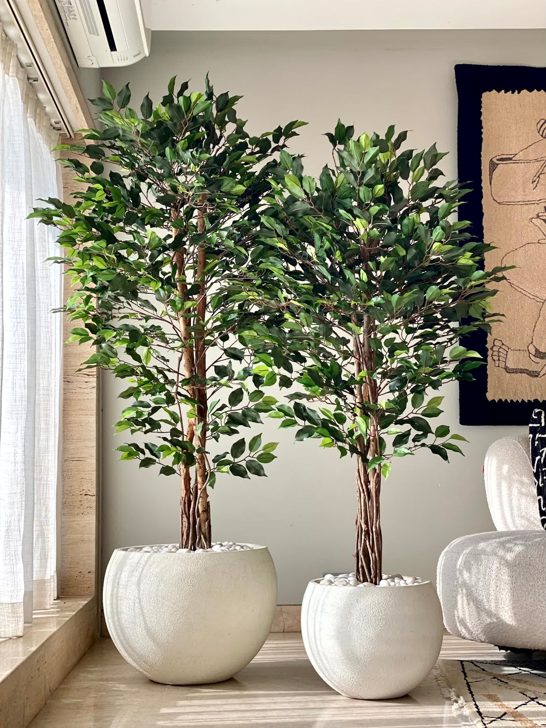 Artificial Natura Ficus Plant - 6 Feet