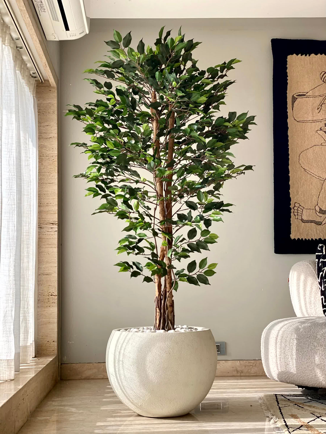 Artificial Natura Ficus Plant - 6 Feet