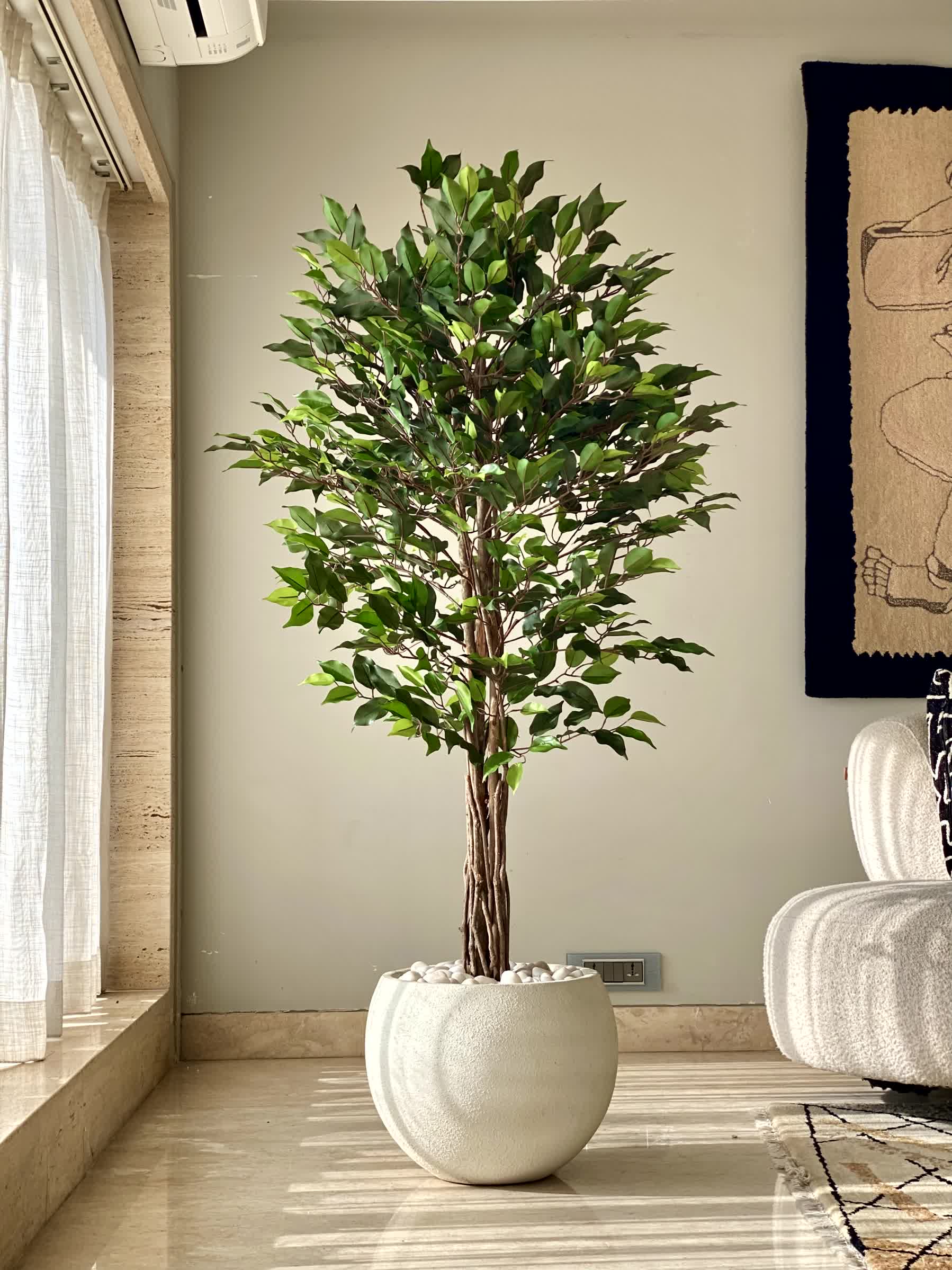 Artificial Natura Ficus Plant - 5 Feet