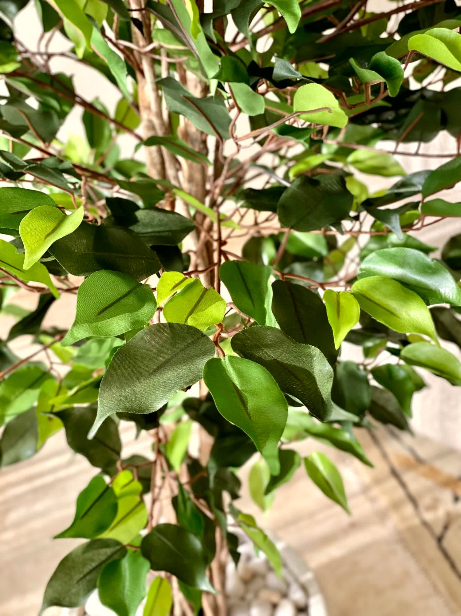 Artificial Natura Ficus Plant - 5 Feet