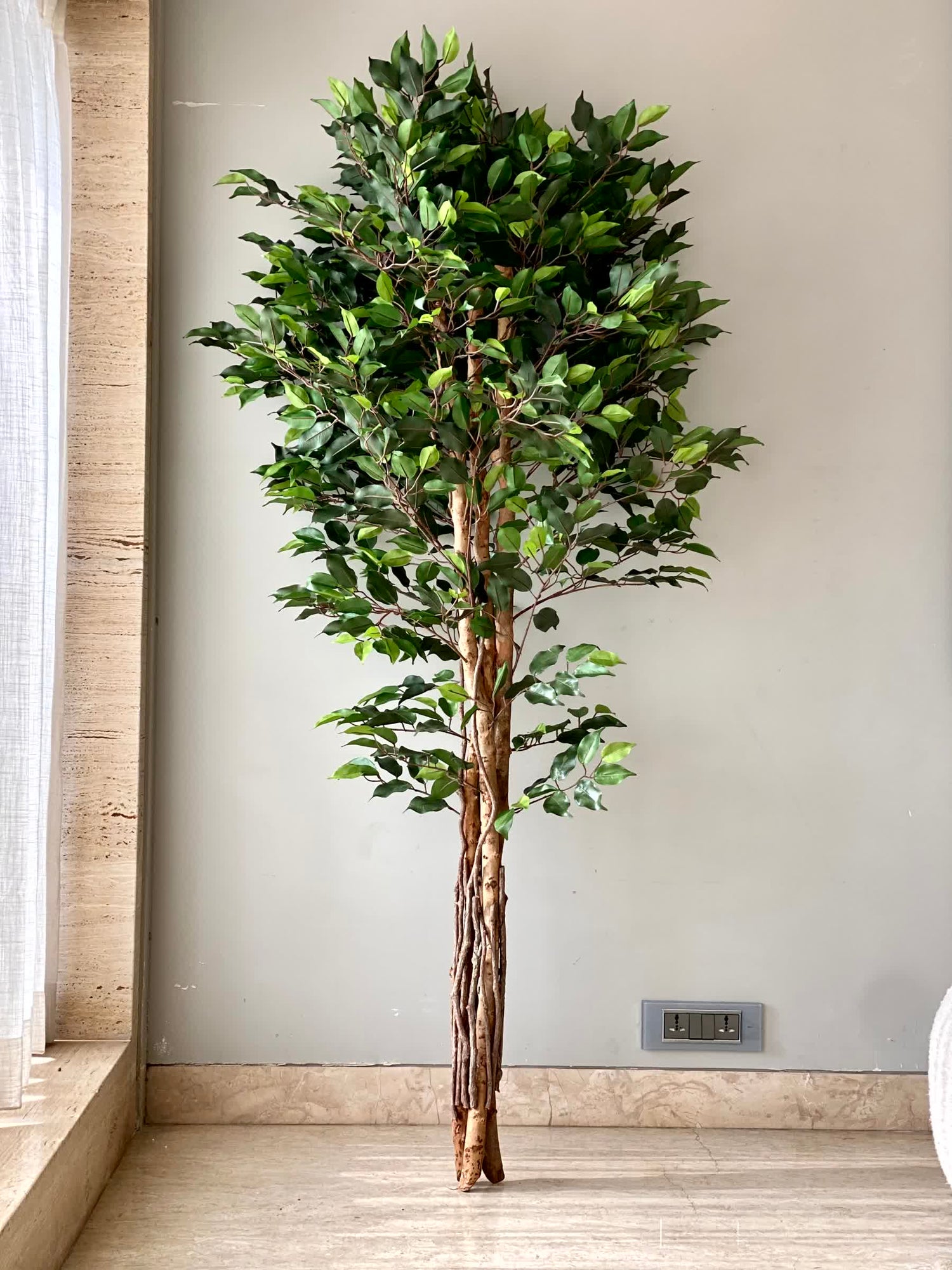 Artificial Natura Ficus Plant - 6 Feet