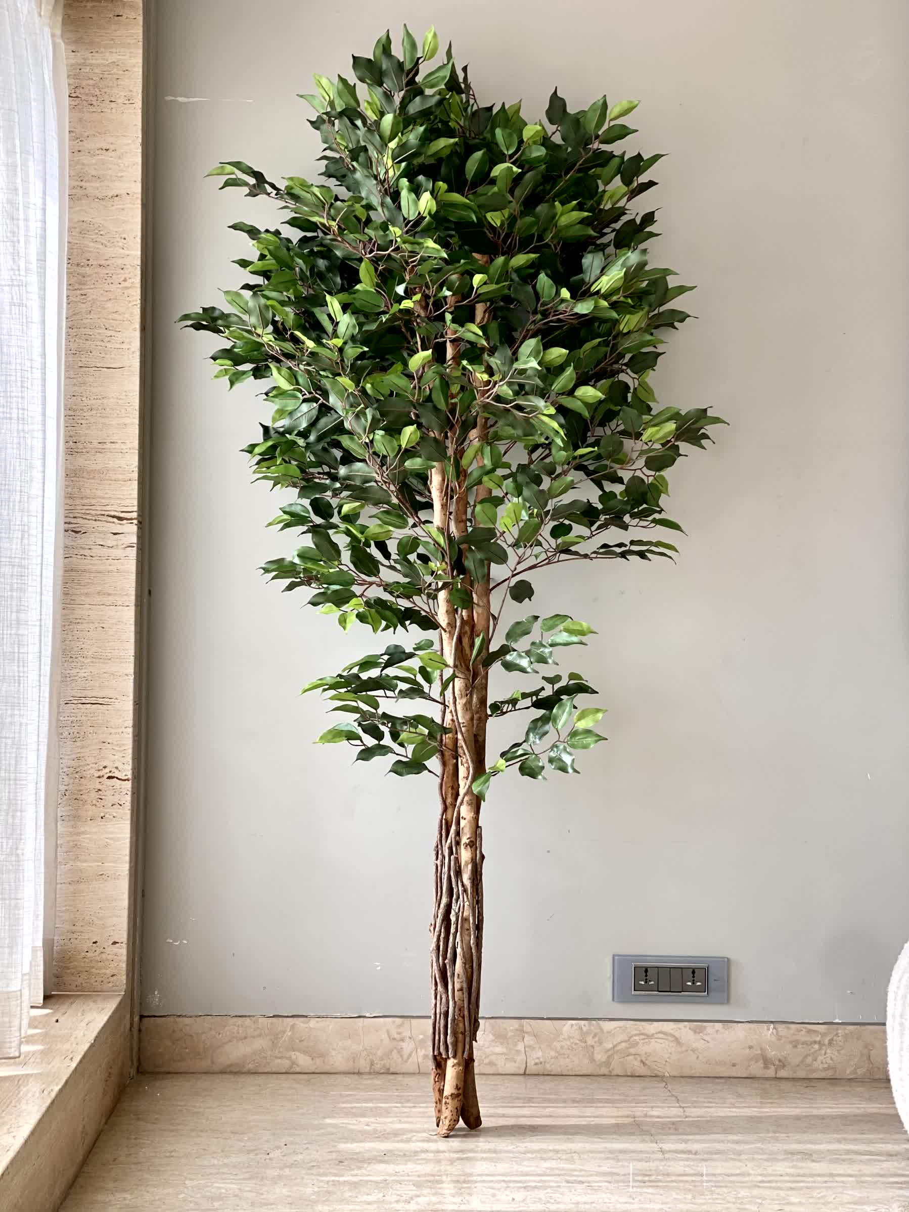 Artificial Natura Ficus Plant - 6 Feet