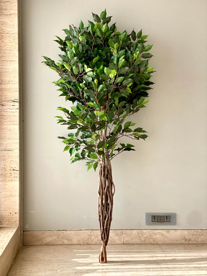 Artificial Natura Ficus Plant - 5 Feet