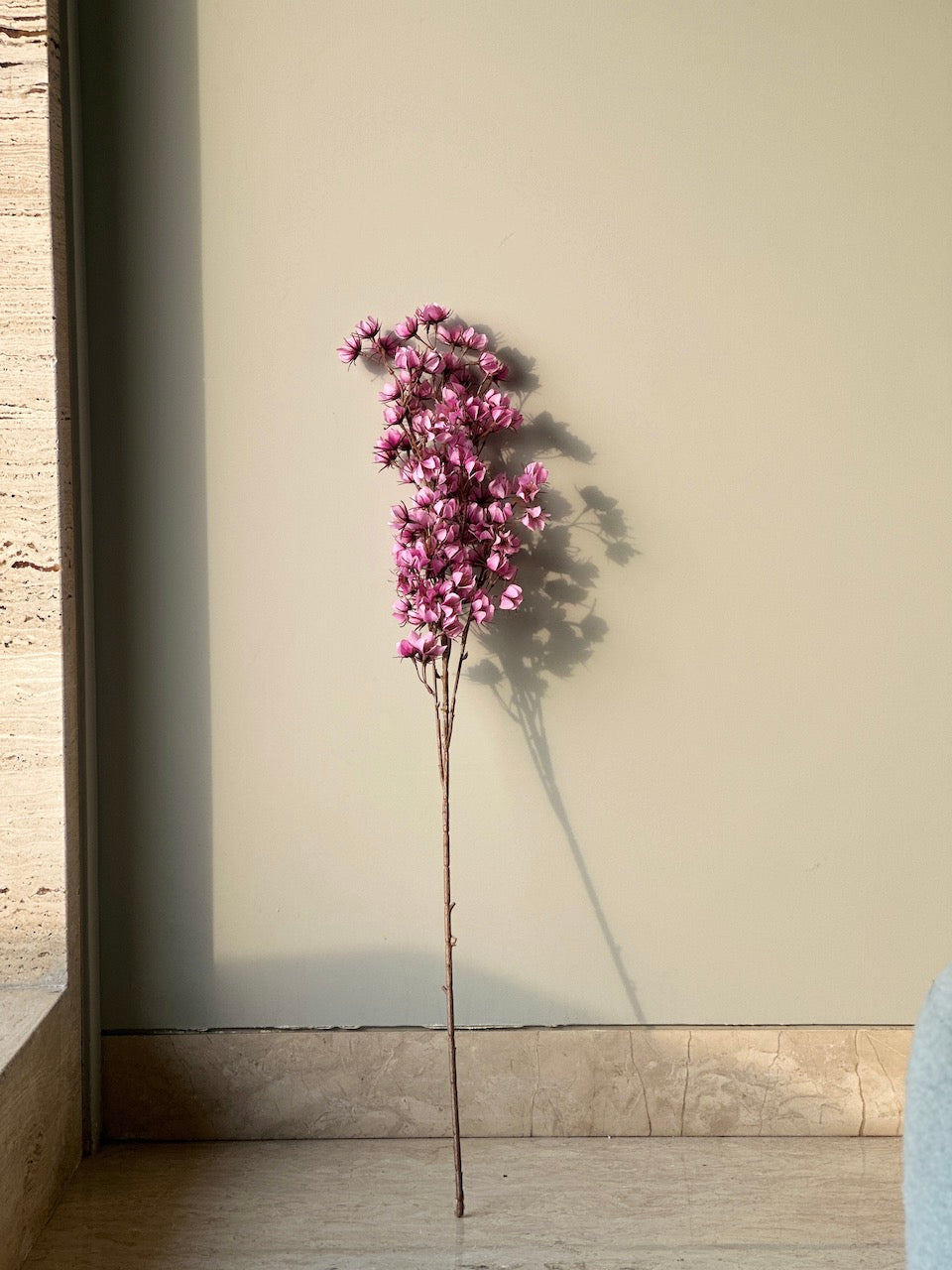 Dried Pink flowers in a vase