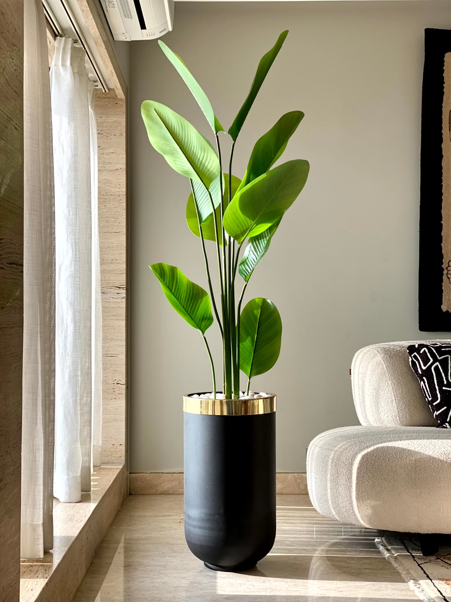 Minsk Planters - Black