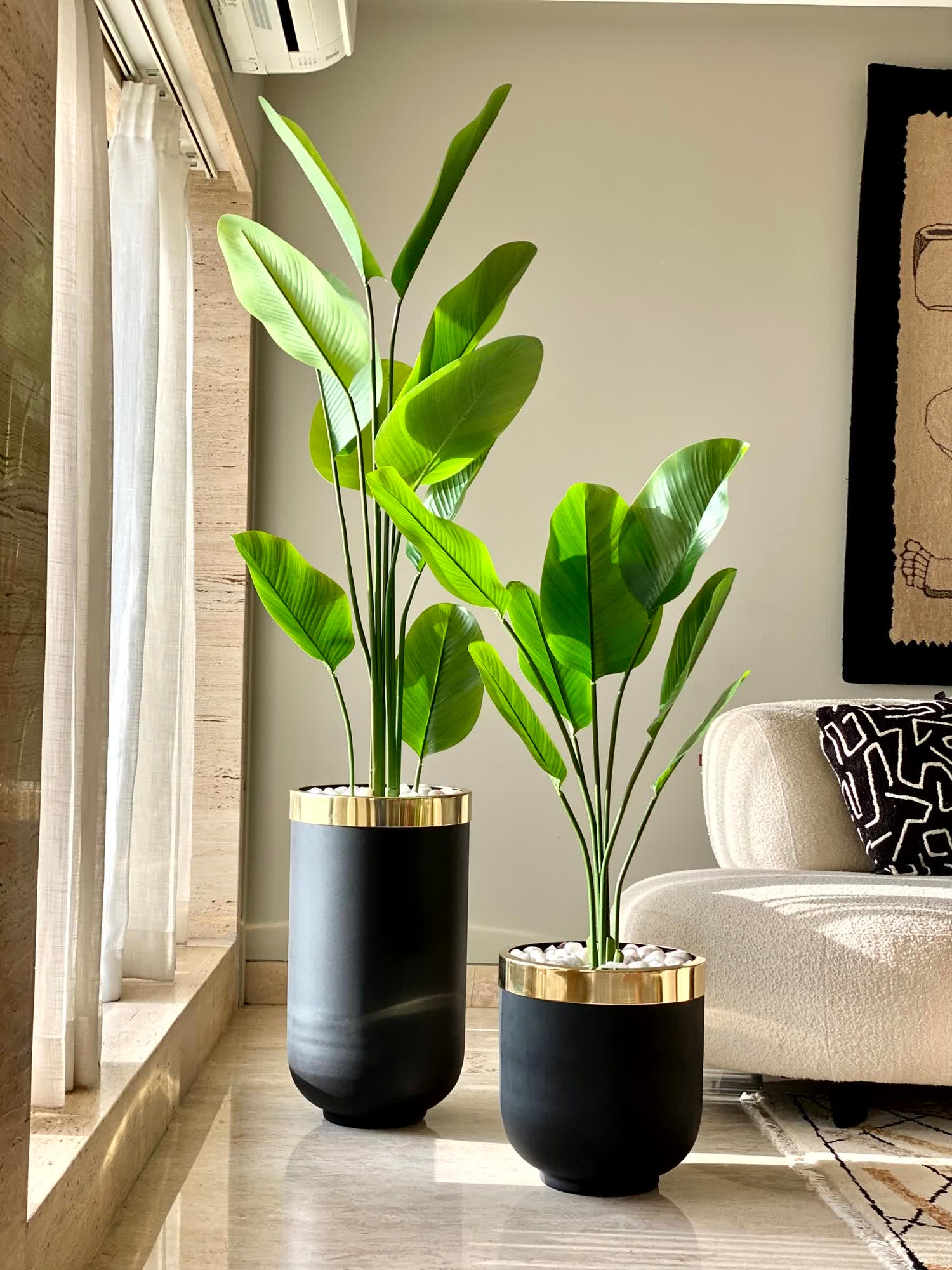 Minsk Planters - Black