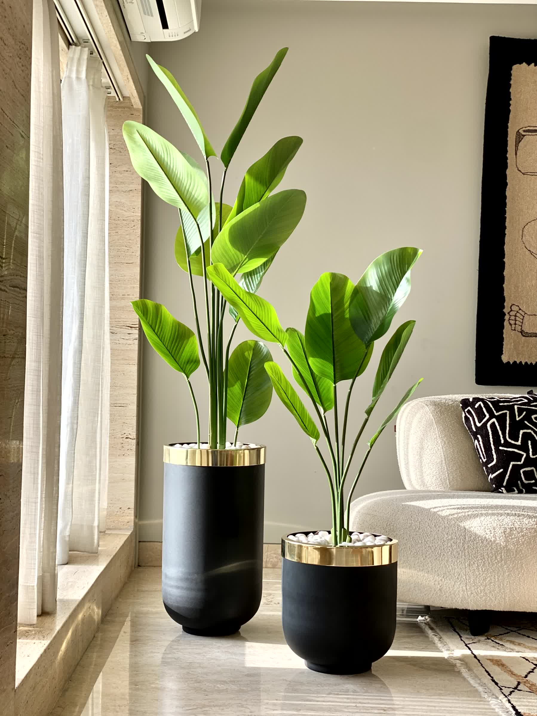 Minsk Planters - Black