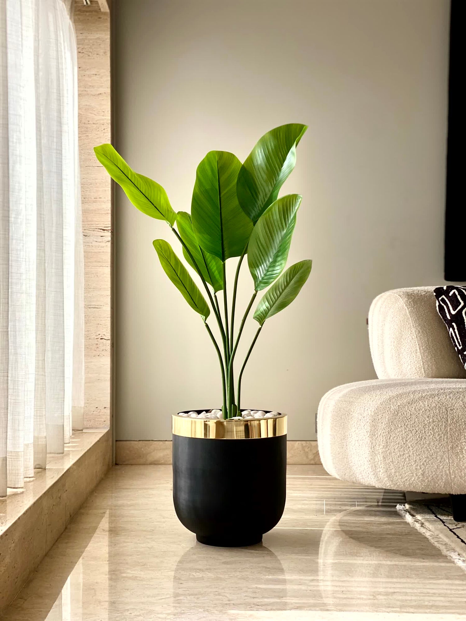 Minsk Planters - Black