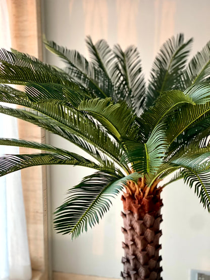 Artificial Cycas Plant - 5.5 Feet