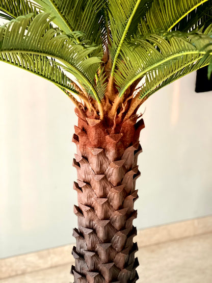 Artificial Cycas Plant - 5.5 Feet