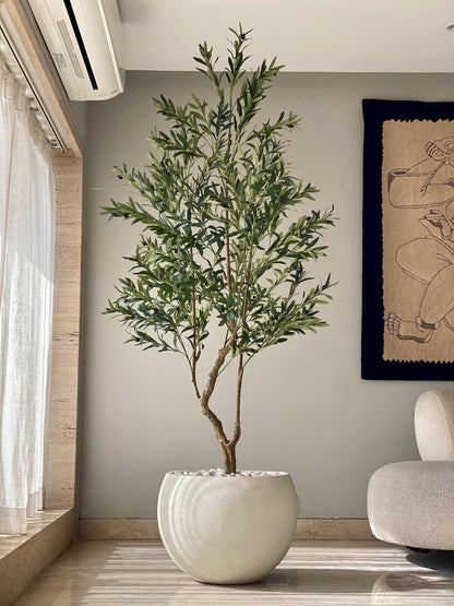 Artificial Olive Serene Plant - 7 Feet