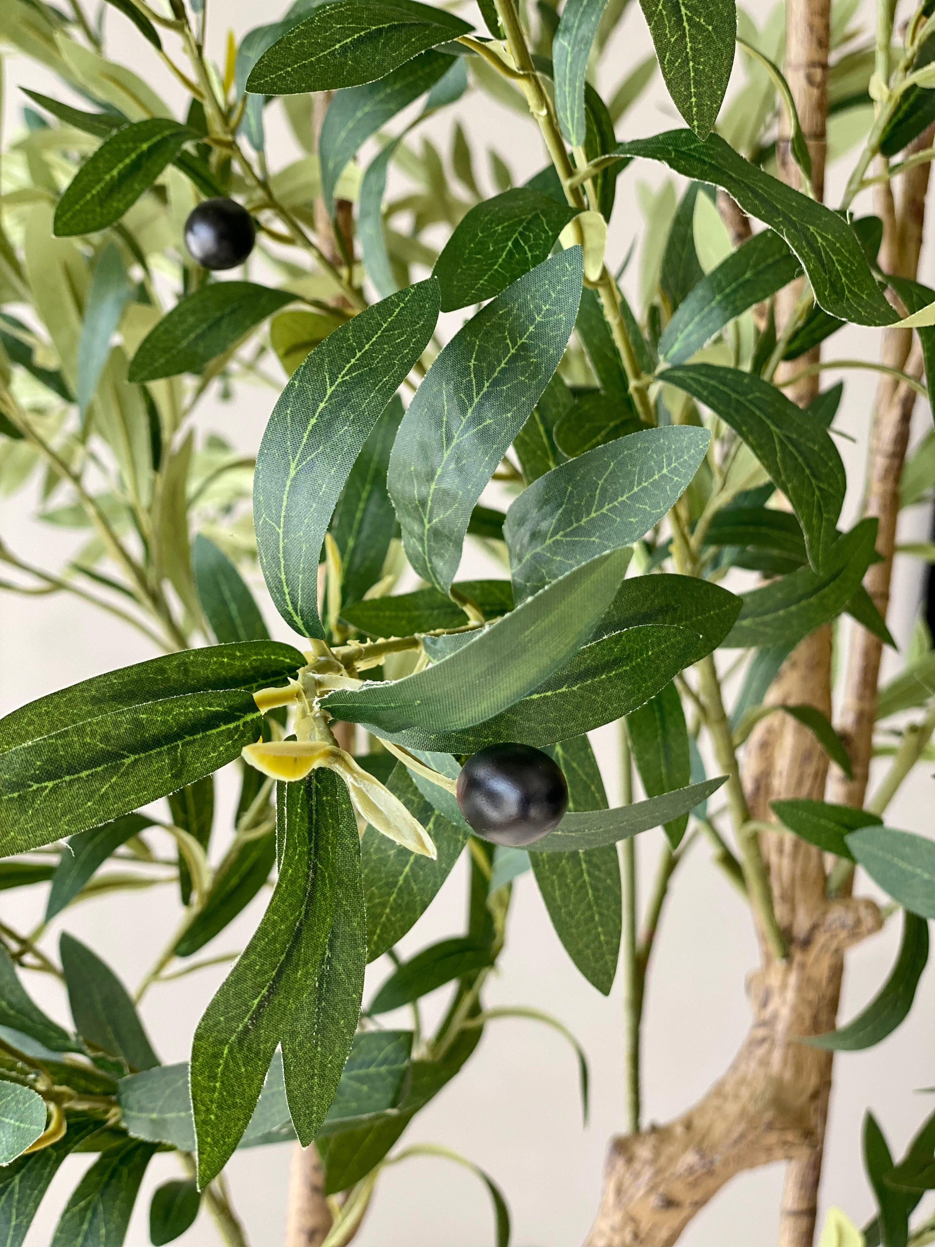 Artificial Olive Serene Plant - 7 Feet