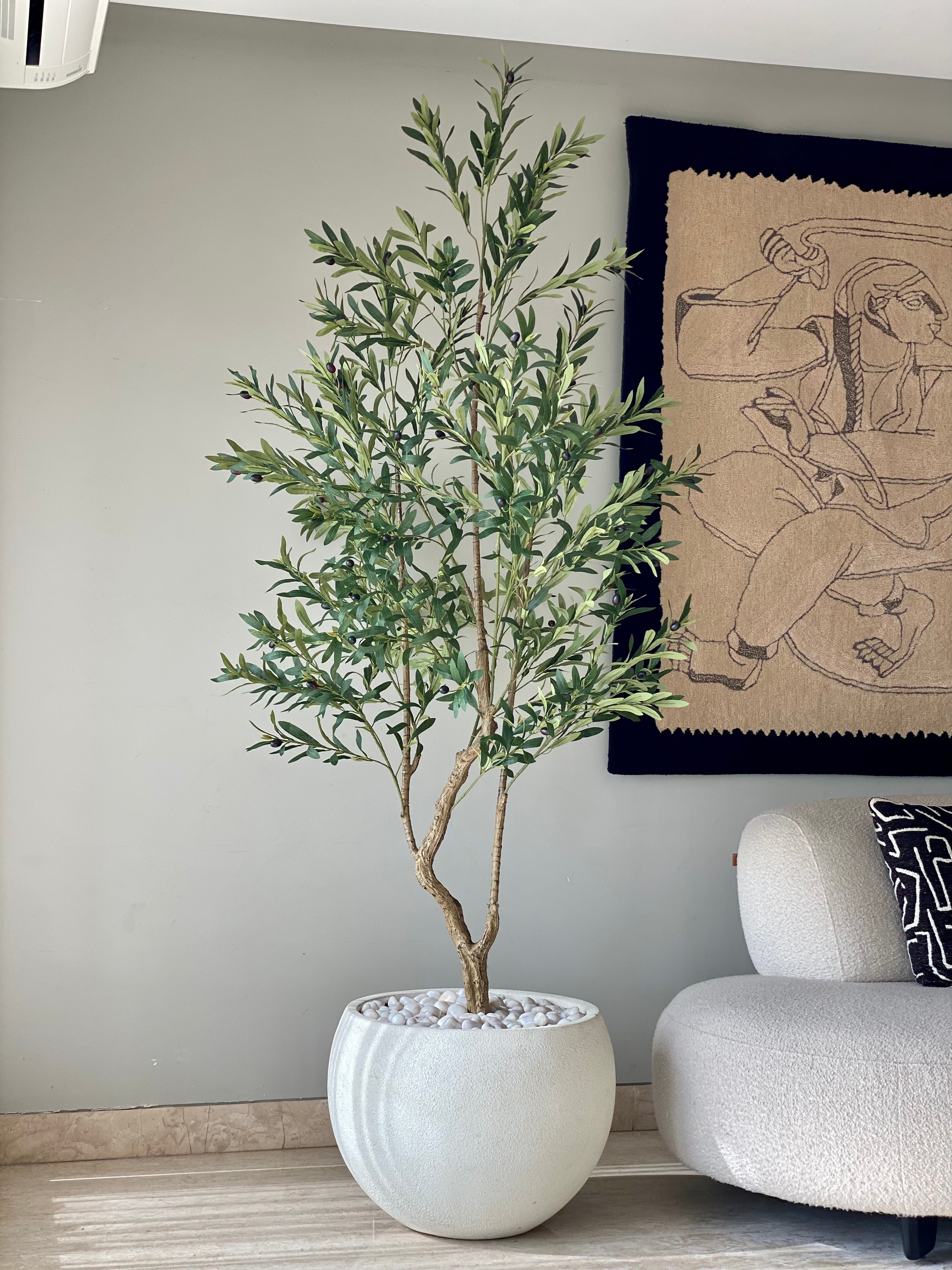 Artificial Olive Serene Plant - 7 Feet