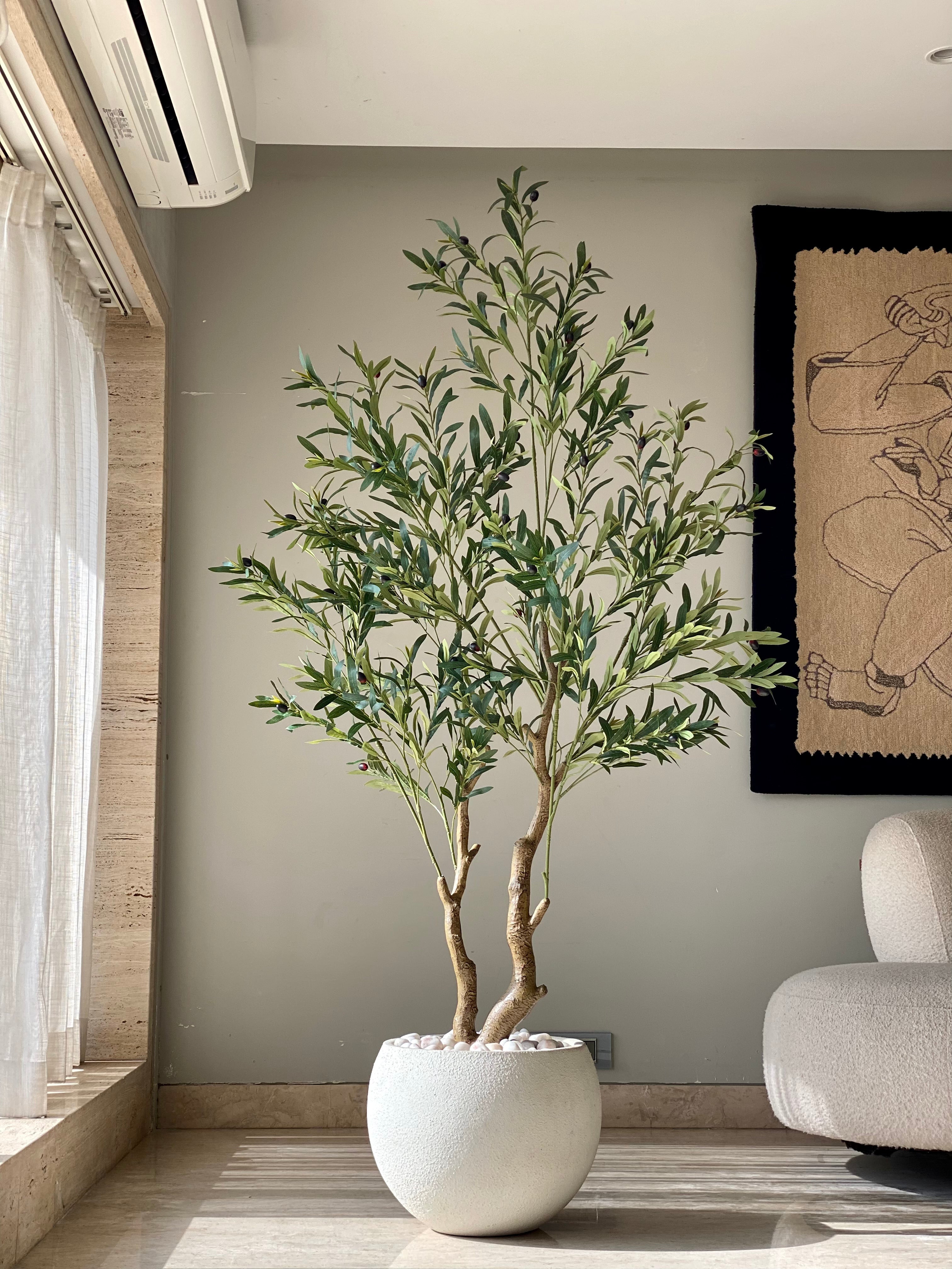 Artificial Olive Serene Plant - 6 Feet