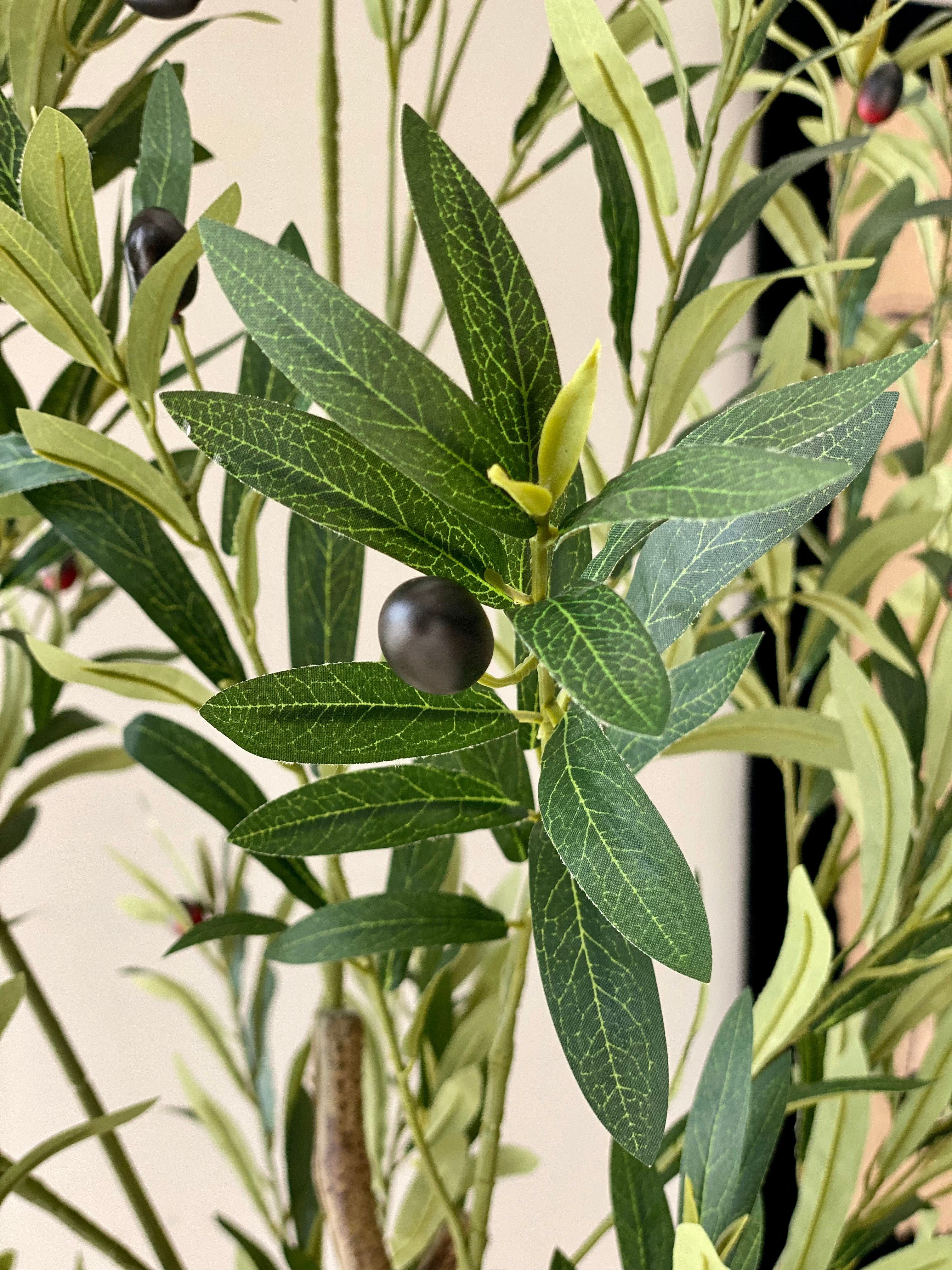 Artificial Olive Serene Plant - 6 Feet
