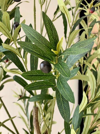 Artificial Olive Serene Plant - 6 Feet