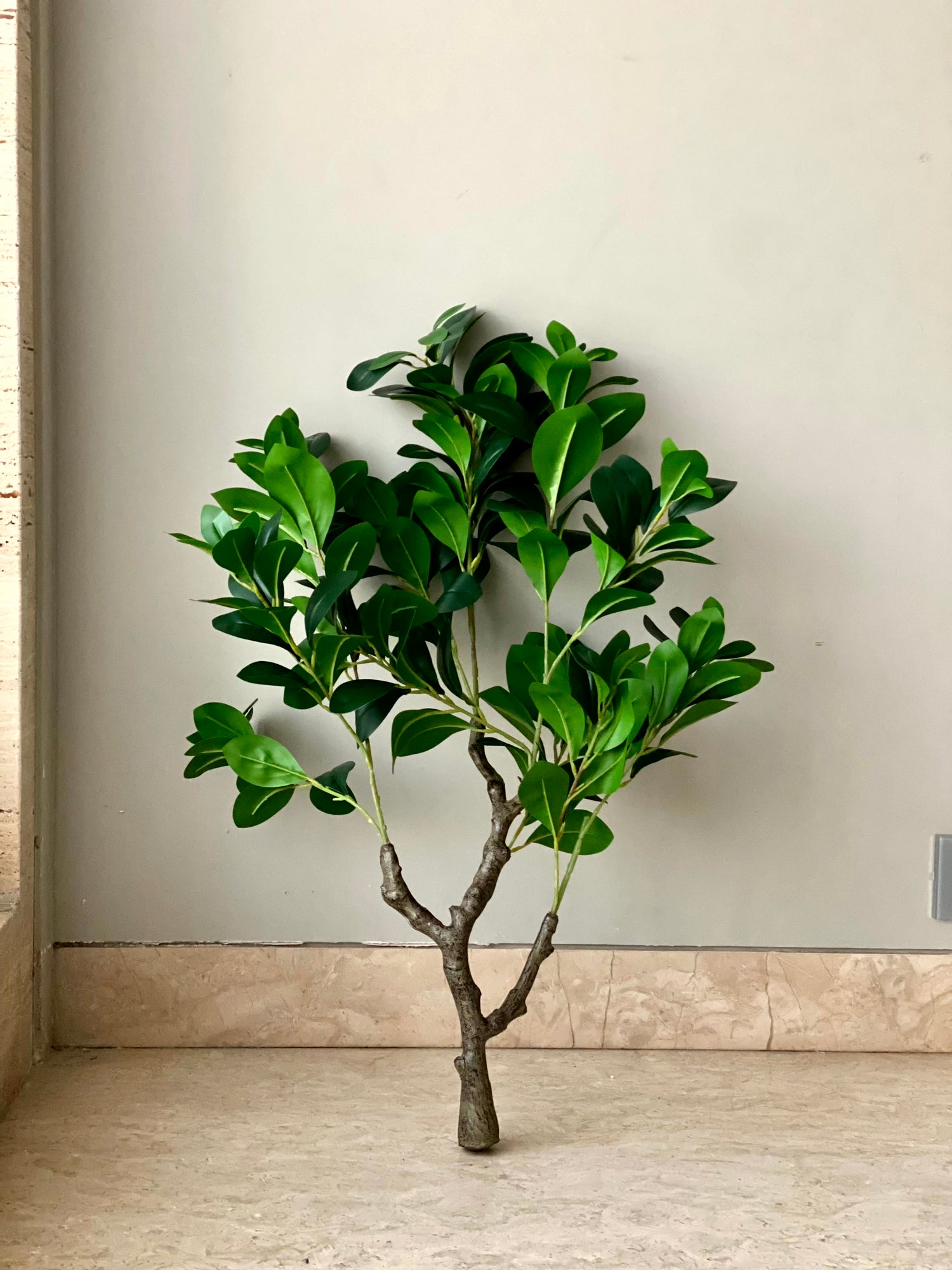 Artificial Peperomia Plant - 3 Feet