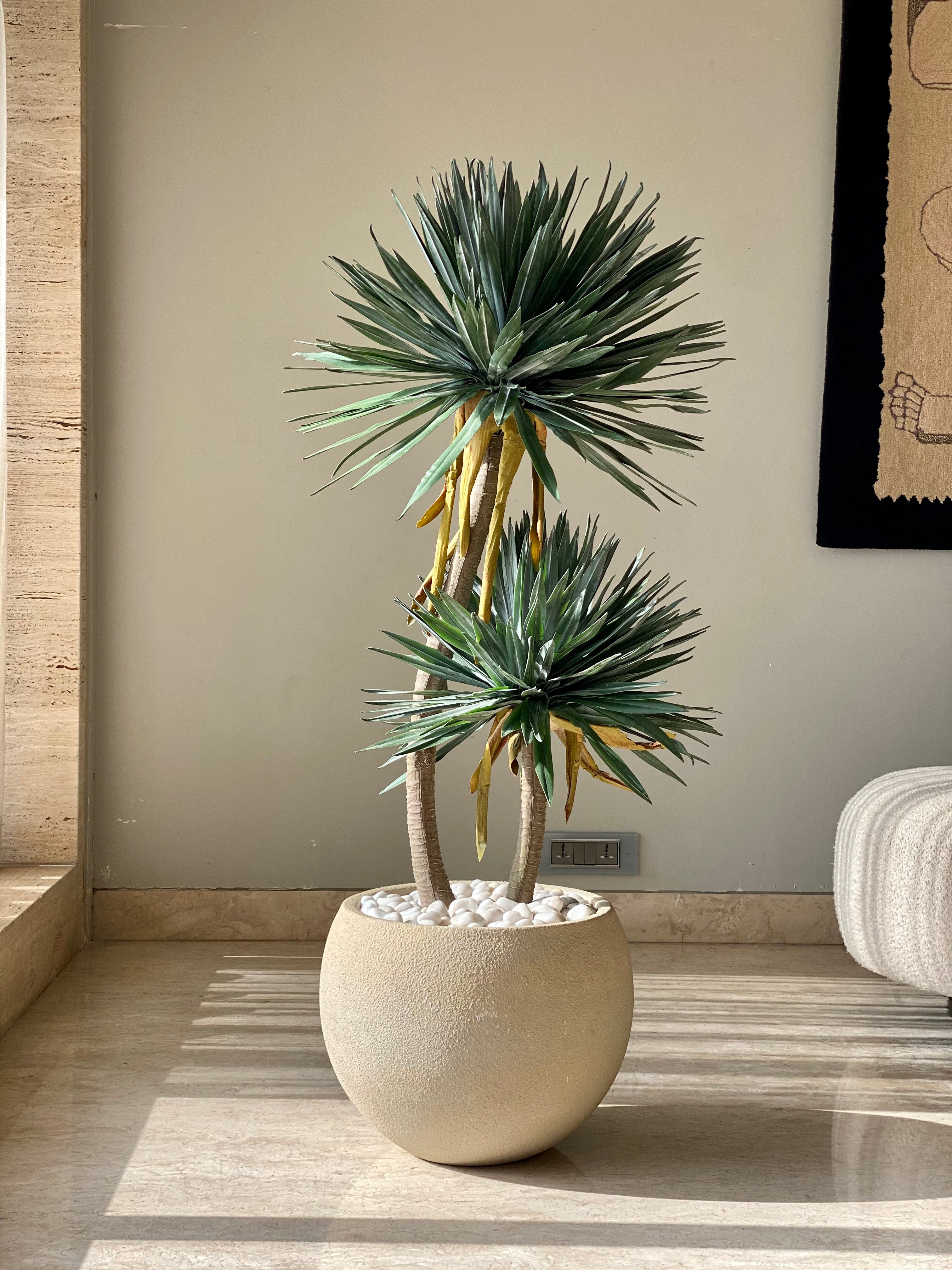 Artificial Sisal Duo Plant - 4 Feet