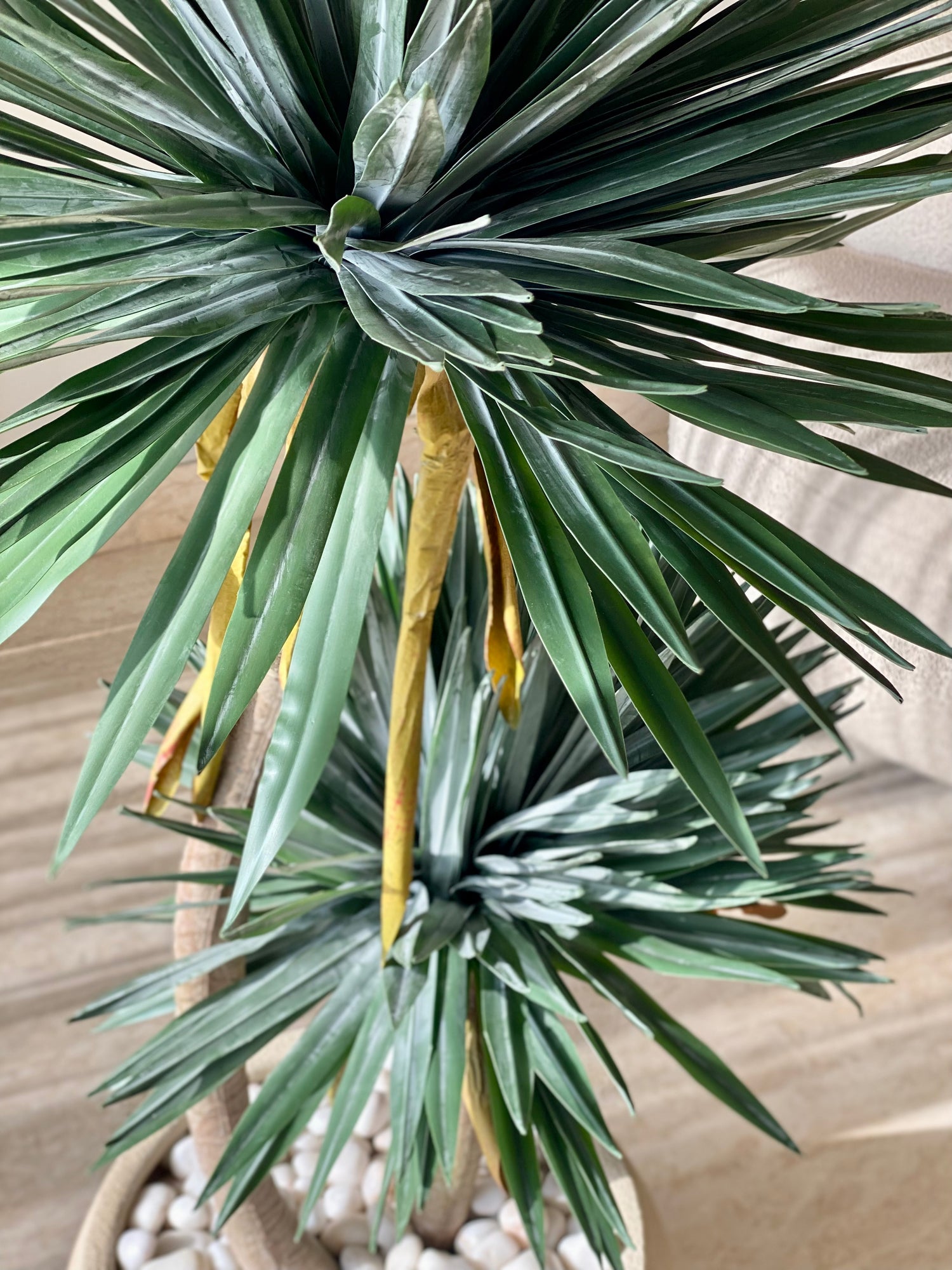 Artificial Sisal Duo Plant - 4 Feet